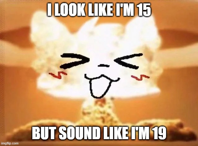 I'm actually 17. | I LOOK LIKE I'M 15; BUT SOUND LIKE I'M 19 | image tagged in boykisser nuke | made w/ Imgflip meme maker