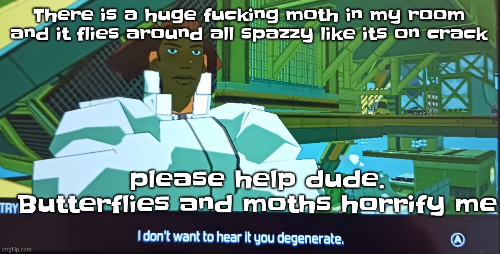 How do I capture this wretched hellspawn | There is a huge fu‍cking moth in my room and it flies around all spazzy like its on crack; please help dude. Butterflies and moths horrify me | image tagged in i don't want to hear it you degenerate | made w/ Imgflip meme maker