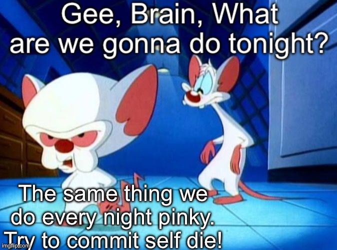 New template | The same thing we do every night pinky. Try to commit self die! | image tagged in gee brain | made w/ Imgflip meme maker