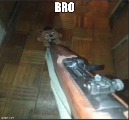 Gun pointing at freddy | BRO | image tagged in gun pointing at freddy | made w/ Imgflip meme maker