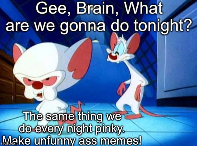 Gee brain | The same thing we do every night pinky. Make unfunny ass memes! | image tagged in gee brain | made w/ Imgflip meme maker