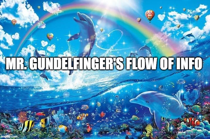 Happy dolphin rainbow | MR. GUNDELFINGER'S FLOW OF INFO | image tagged in happy dolphin rainbow | made w/ Imgflip meme maker