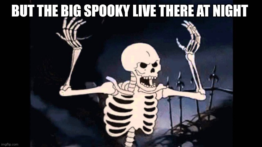 Spooky Skeleton | BUT THE BIG SPOOKY LIVE THERE AT NIGHT | image tagged in spooky skeleton | made w/ Imgflip meme maker