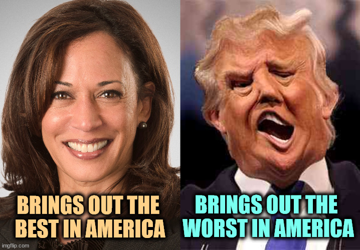 The best in America and the worst. | BRINGS OUT THE 
BEST IN AMERICA; BRINGS OUT THE 
WORST IN AMERICA | image tagged in kamala harris sane donald trump crazy on acid,kamala harris,best,america,trump,worst | made w/ Imgflip meme maker