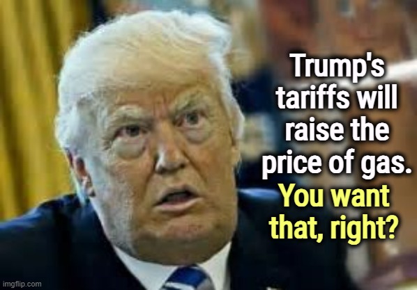 Trump does not understand tariffs. | Trump's tariffs will raise the price of gas. You want that, right? | image tagged in trump dilated taken aback aghast surprised,trump,tariffs,taxes,gas,gasoline | made w/ Imgflip meme maker