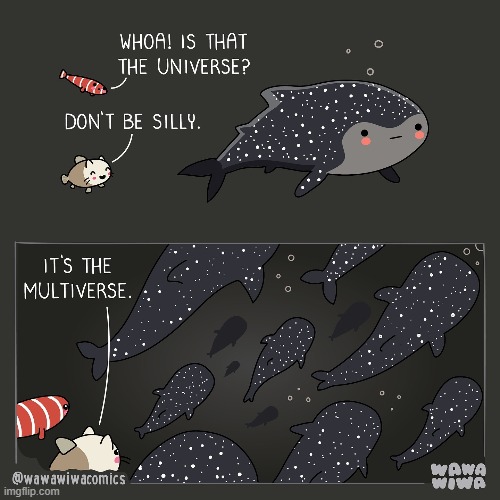 image tagged in fish,catfish,whale shark,whale sharks,universe,multiverse | made w/ Imgflip meme maker