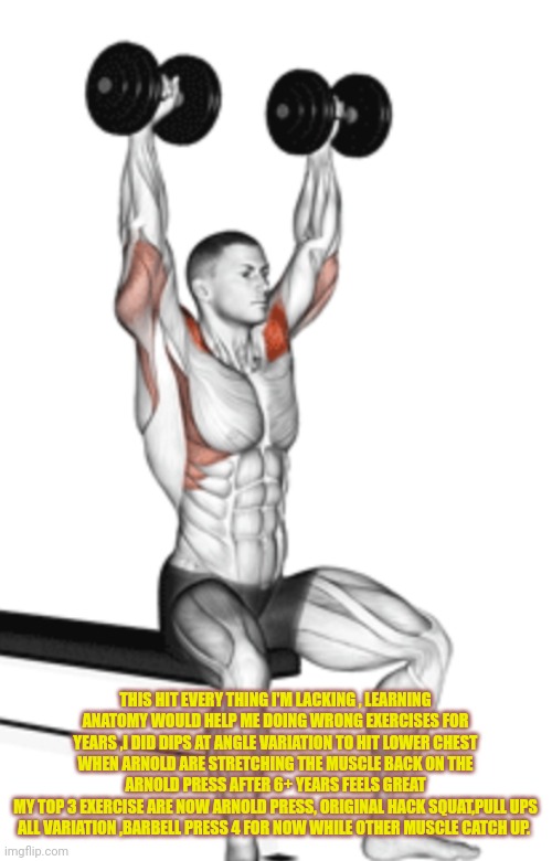 Bodybuilding tip #28 | THIS HIT EVERY THING I'M LACKING , LEARNING ANATOMY WOULD HELP ME DOING WRONG EXERCISES FOR YEARS ,I DID DIPS AT ANGLE VARIATION TO HIT LOWER CHEST WHEN ARNOLD ARE STRETCHING THE MUSCLE BACK ON THE ARNOLD PRESS AFTER 6+ YEARS FEELS GREAT
MY TOP 3 EXERCISE ARE NOW ARNOLD PRESS, ORIGINAL HACK SQUAT,PULL UPS ALL VARIATION ,BARBELL PRESS 4 FOR NOW WHILE OTHER MUSCLE CATCH UP. | image tagged in funny memes,gumball,gym memes,fitness | made w/ Imgflip meme maker