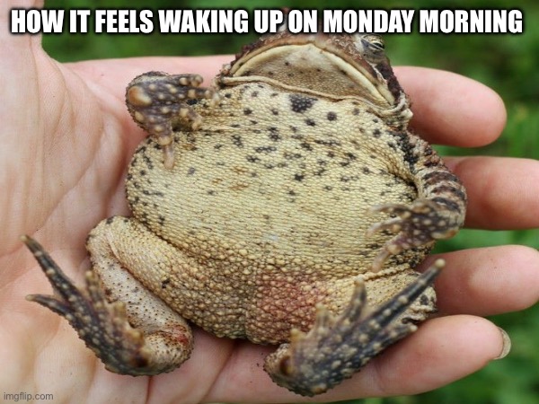 E | HOW IT FEELS WAKING UP ON MONDAY MORNING | made w/ Imgflip meme maker