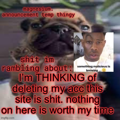 pug temp | I’m THINKING of deleting my acc this site is shit. nothing on here is worth my time | image tagged in pug temp | made w/ Imgflip meme maker