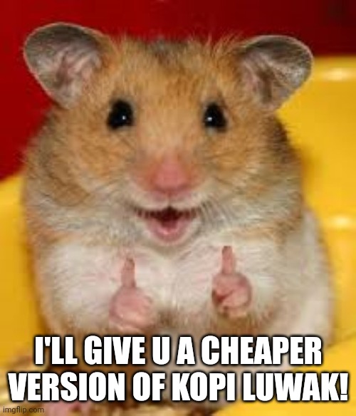 Thumbs up hamster  | I'LL GIVE U A CHEAPER VERSION OF KOPI LUWAK! | image tagged in thumbs up hamster | made w/ Imgflip meme maker