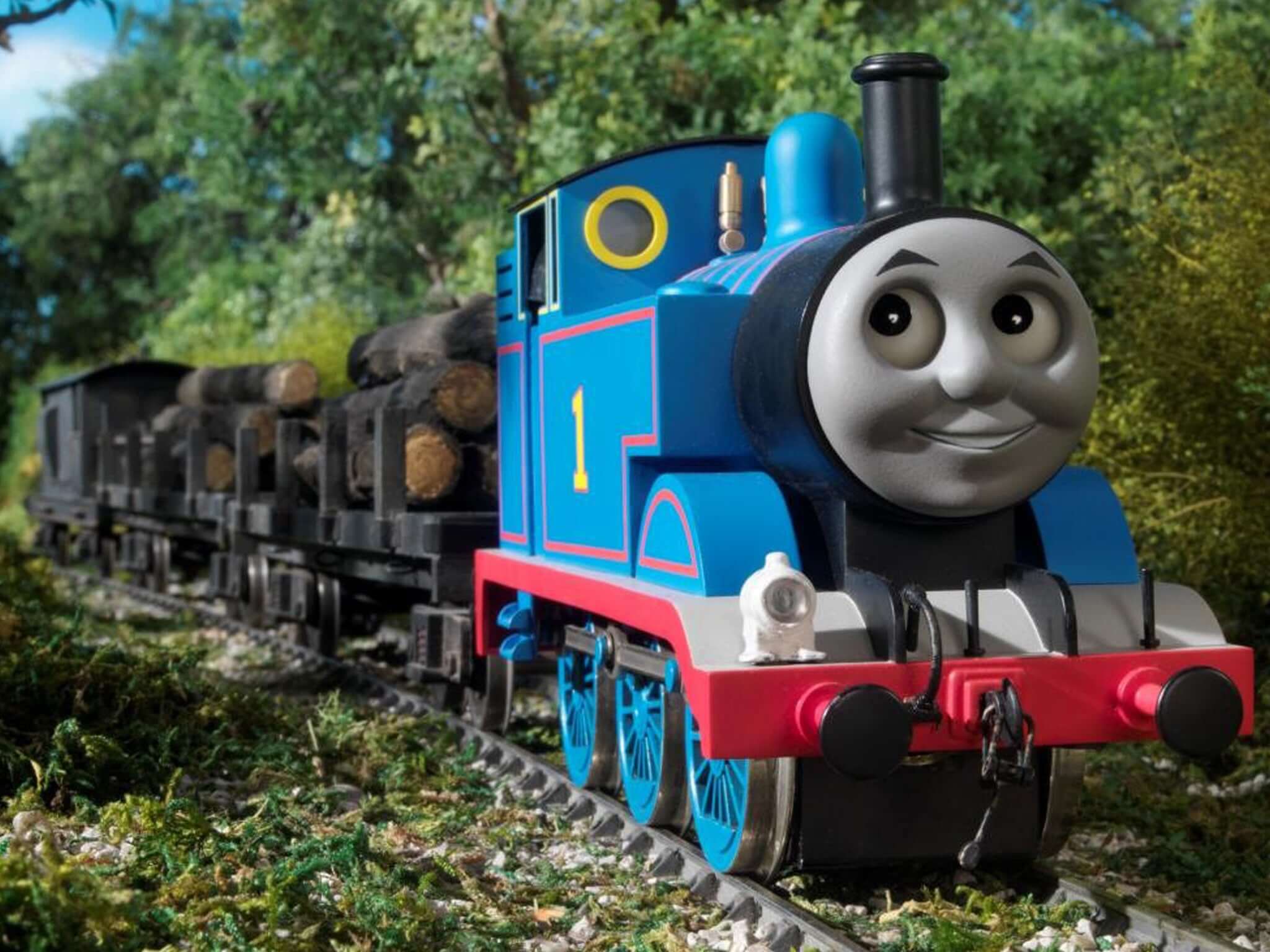 High Quality Thomas Blank Meme Template