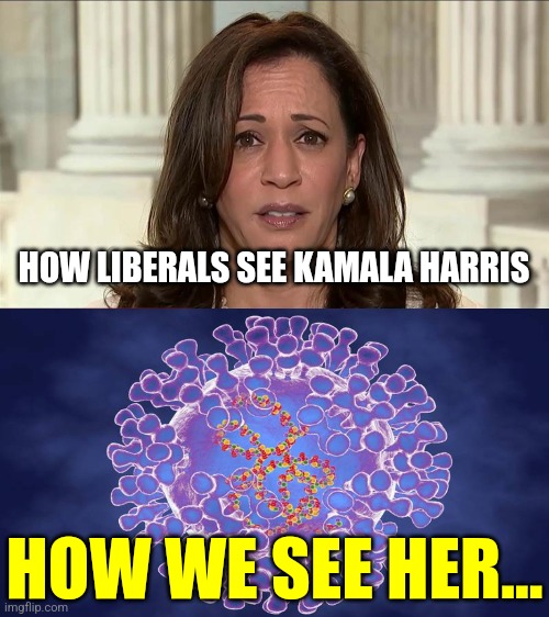 K. Harris = mpox | HOW LIBERALS SEE KAMALA HARRIS; HOW WE SEE HER... | image tagged in kamala harris,monkeypox virus,rito pls,maga,vote for trump,2024 | made w/ Imgflip meme maker