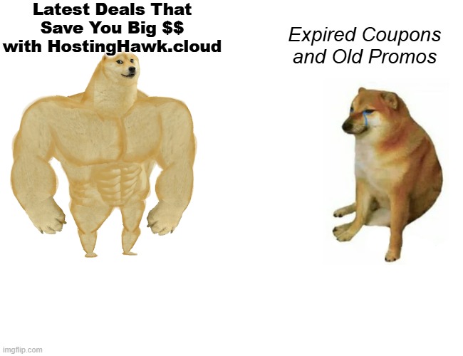 hosting hawk is the best | Latest Deals That Save You Big $$ with HostingHawk.cloud; Expired Coupons and Old Promos | image tagged in memes,buff doge vs cheems,work,internet,business | made w/ Imgflip meme maker