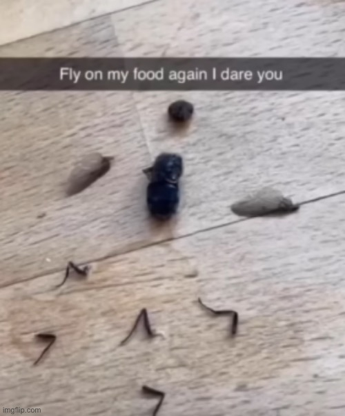 Fly on my food again I dare you - Imgflip