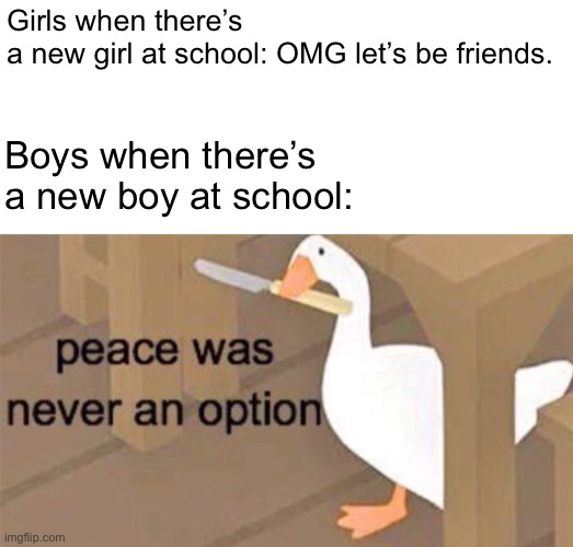 Untitled Goose Peace Was Never an Option | Girls when there’s a new girl at school: OMG let’s be friends. Boys when there’s a new boy at school: | image tagged in untitled goose peace was never an option | made w/ Imgflip meme maker