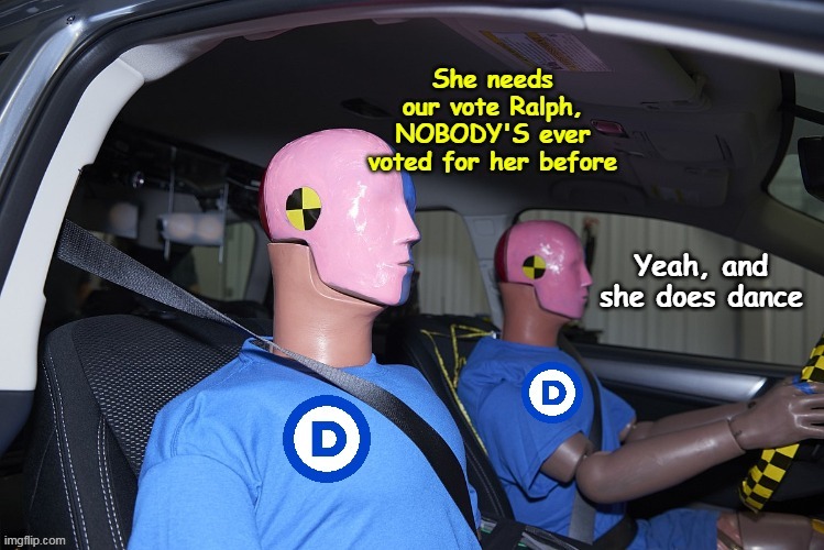 AND cooks Collard Greens  ! (forgot) | image tagged in kamala dummy voters meme | made w/ Imgflip meme maker