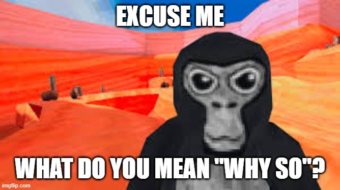 gorilla tag | EXCUSE ME WHAT DO YOU MEAN "WHY SO"? | image tagged in gorilla tag | made w/ Imgflip meme maker