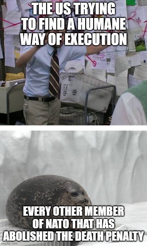 Pepe Silvia Charlie Explaining to a Seal | THE US TRYING TO FIND A HUMANE WAY OF EXECUTION; EVERY OTHER MEMBER OF NATO THAT HAS ABOLISHED THE DEATH PENALTY | image tagged in pepe silvia charlie explaining to a seal | made w/ Imgflip meme maker