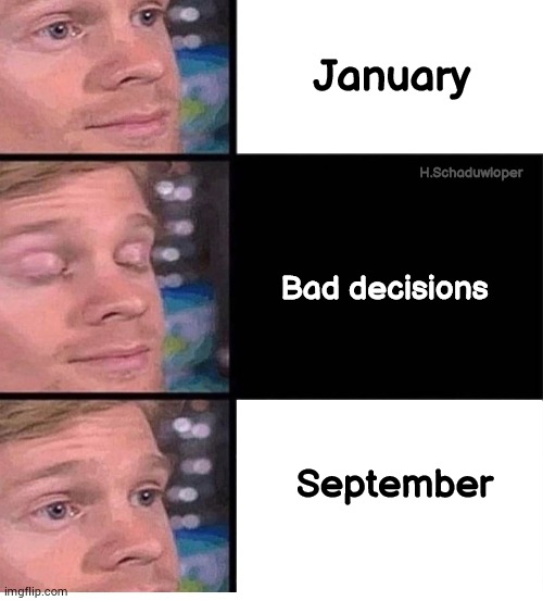 blinking guy vertical blank | January; H.Schaduwloper; Bad decisions; September | image tagged in blinking guy vertical blank | made w/ Imgflip meme maker