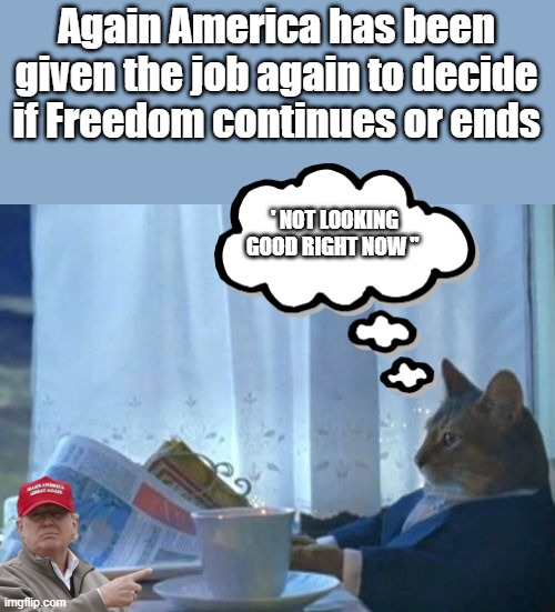 Are you as smart as a CAT ? Or will you allow the world to slip back into the dark ages ? | Again America has been given the job again to decide if Freedom continues or ends; ' NOT LOOKING GOOD RIGHT NOW " | image tagged in memes,i should buy a boat cat | made w/ Imgflip meme maker