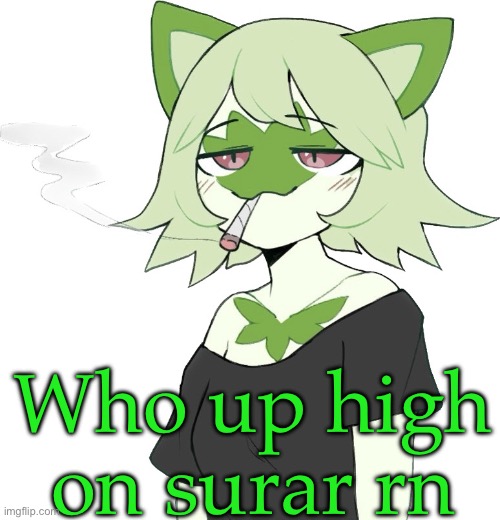 Yes, I will continue to call it that. | Who up high on surar rn | image tagged in weed cat | made w/ Imgflip meme maker