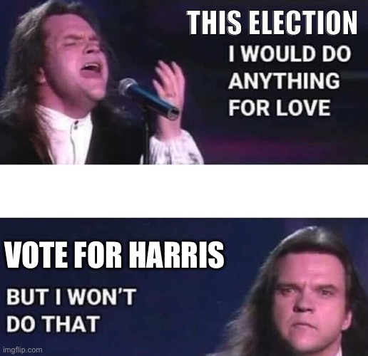 Think twice save lives | THIS ELECTION; VOTE FOR HARRIS | image tagged in i would do anything for love | made w/ Imgflip meme maker