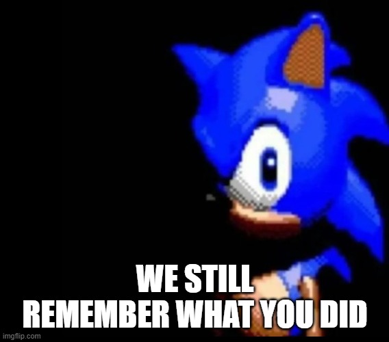 Sonic stares | WE STILL REMEMBER WHAT YOU DID | image tagged in sonic stares | made w/ Imgflip meme maker