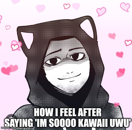 Kawaii  :) | HOW I FEEL AFTER SAYING 'IM SOOOO KAWAII UWU' | image tagged in kawaii,intruder,the mandela catalogue,6 | made w/ Imgflip meme maker