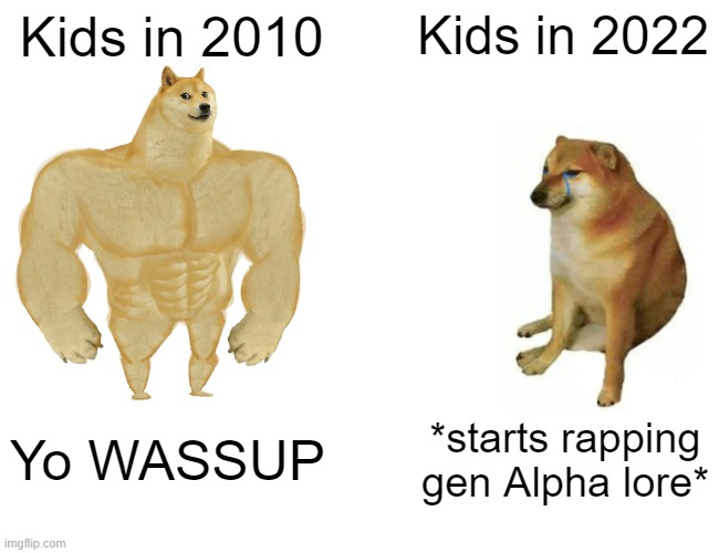 Seriously, all they say is SKIBIDISKIBIDSKIBIDISKIBIDI | Kids in 2010; Kids in 2022; Yo WASSUP; *starts rapping gen Alpha lore* | image tagged in memes,buff doge vs cheems | made w/ Imgflip meme maker