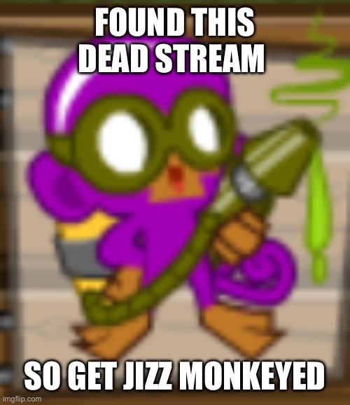 Jizz monkey | FOUND THIS DEAD STREAM; SO GET JIZZ MONKEYED | image tagged in jizz monkey | made w/ Imgflip meme maker