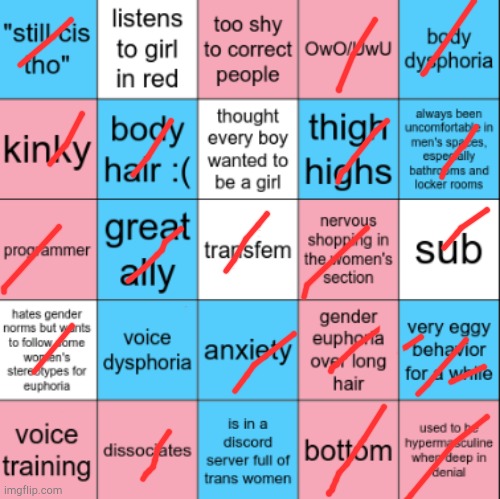 Got 3 bingos! | image tagged in transfem bingo | made w/ Imgflip meme maker