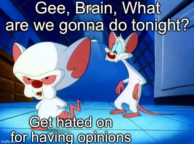 Gee brain | Get hated on for having opinions | image tagged in gee brain | made w/ Imgflip meme maker