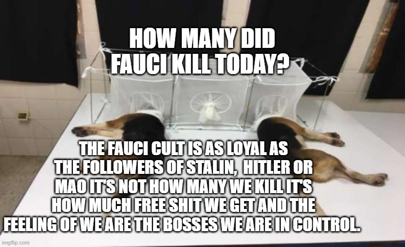 Fauci Beagles | HOW MANY DID FAUCI KILL TODAY? THE FAUCI CULT IS AS LOYAL AS THE FOLLOWERS OF STALIN,  HITLER OR MAO IT'S NOT HOW MANY WE KILL IT'S HOW MUCH FREE SHIT WE GET AND THE FEELING OF WE ARE THE BOSSES WE ARE IN CONTROL. | image tagged in fauci beagles | made w/ Imgflip meme maker