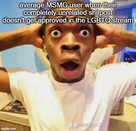 Shocked black guy | average MSMG user when their completely unrelated shitpost doesn't get approved in the LGBTQ stream | image tagged in shocked black guy | made w/ Imgflip meme maker