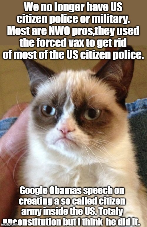 Just a observation of thier behavior speaks volumes. | We no longer have US citizen police or military. Most are NWO pros,they used the forced vax to get rid of most of the US citizen police. Google Obamas speech on creating a so called citizen army inside the US. Totaly unconstitution but i think  he did it. | image tagged in memes,grumpy cat | made w/ Imgflip meme maker