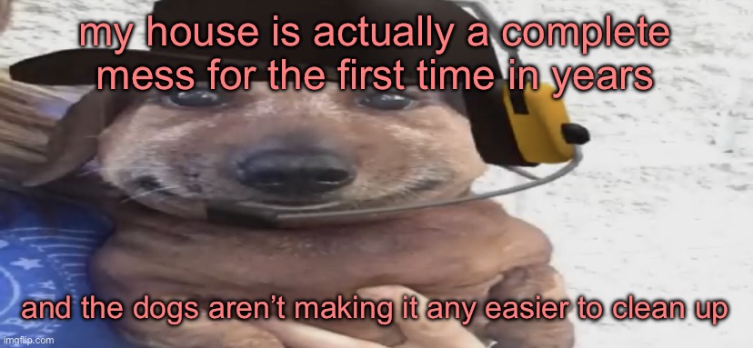 chucklenuts | my house is actually a complete mess for the first time in years; and the dogs aren’t making it any easier to clean up | image tagged in chucklenuts | made w/ Imgflip meme maker