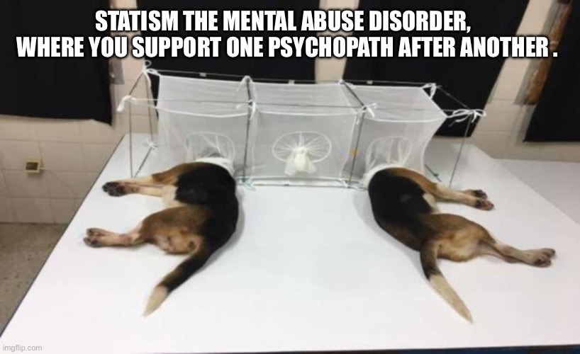 Fauci Beagles | STATISM THE MENTAL ABUSE DISORDER,    WHERE YOU SUPPORT ONE PSYCHOPATH AFTER ANOTHER . | image tagged in fauci beagles | made w/ Imgflip meme maker