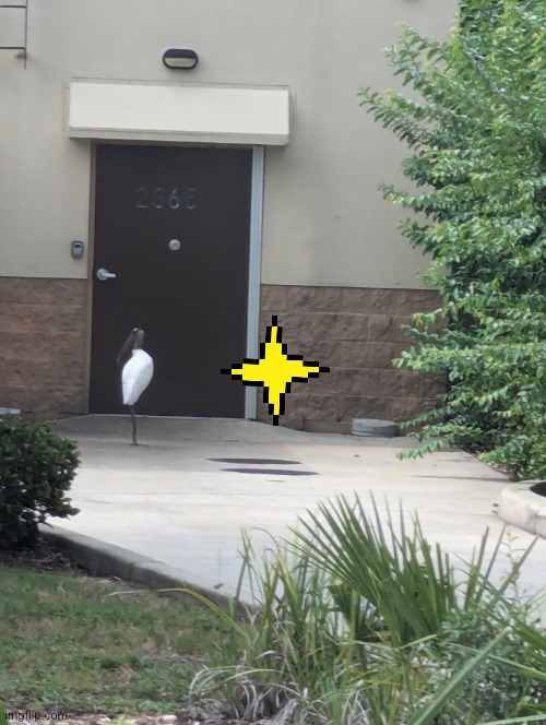 * the elegance of the dunkin donuts backdoor stork fills you with fingoremination | image tagged in undertale | made w/ Imgflip meme maker