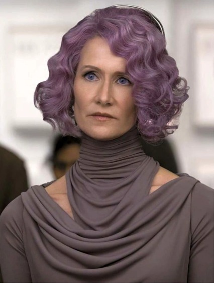 High Quality Star Wars Purple Hair Lady Blank Meme Template