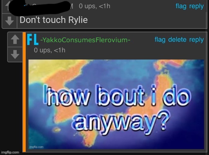 x How bout i do anyway | Don't touch Rylie | image tagged in x how bout i do anyway | made w/ Imgflip meme maker