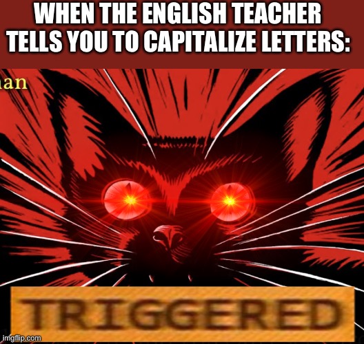 No capital letters | WHEN THE ENGLISH TEACHER TELLS YOU TO CAPITALIZE LETTERS: | image tagged in sabo tabby,communist,english teachers,capital,communist cat,cats | made w/ Imgflip meme maker