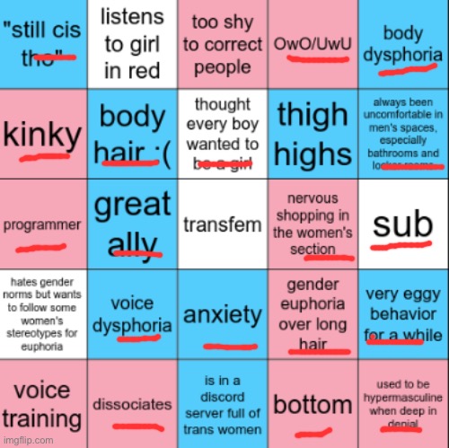 Do not mess ❗️ | image tagged in transfem bingo | made w/ Imgflip meme maker