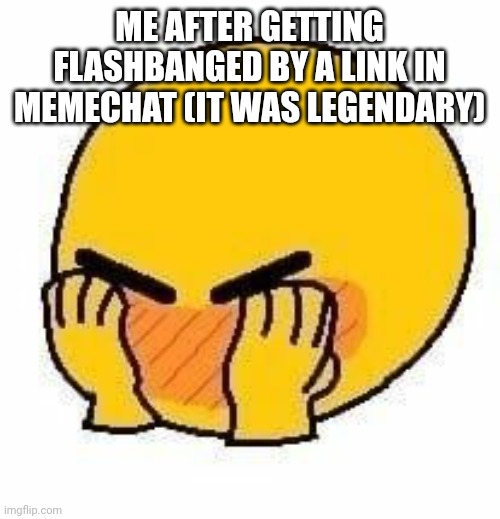 Blushing Emoji | ME AFTER GETTING FLASHBANGED BY A LINK IN MEMECHAT (IT WAS LEGENDARY) | image tagged in blushing emoji | made w/ Imgflip meme maker