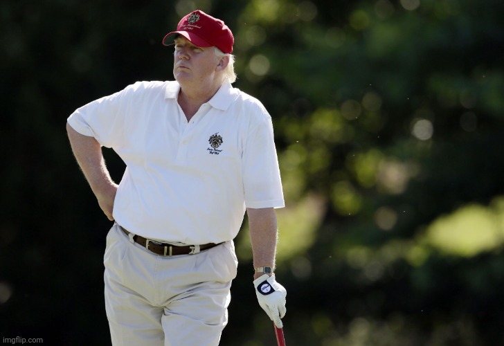 fat trump golfing | image tagged in fat trump golfing | made w/ Imgflip meme maker