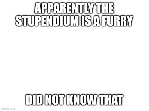 Like I find it cool that one of the musical artists I watch is a furry | APPARENTLY THE STUPENDIUM IS A FURRY; DID NOT KNOW THAT | made w/ Imgflip meme maker