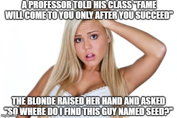 Succeed | A PROFESSOR TOLD HIS CLASS "FAME WILL COME TO YOU ONLY AFTER YOU SUCCEED"; THE BLONDE RAISED HER HAND AND ASKED "SO WHERE DO I FIND THIS GUY NAMED SEED?" | image tagged in dumb blonde | made w/ Imgflip meme maker