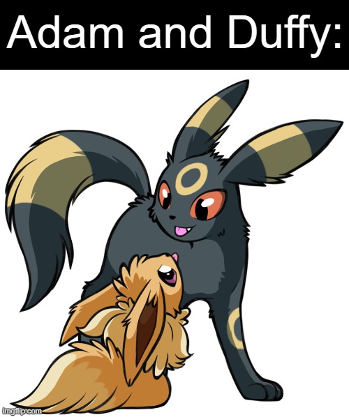 Frost or Alex might remember these two | Adam and Duffy: | image tagged in umbreon,eevee | made w/ Imgflip meme maker