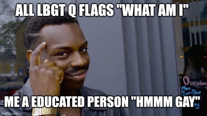 Roll Safe Think About It Meme | ALL LBGT Q FLAGS "WHAT AM I"; ME A EDUCATED PERSON "HMMM GAY" | image tagged in memes,roll safe think about it | made w/ Imgflip meme maker