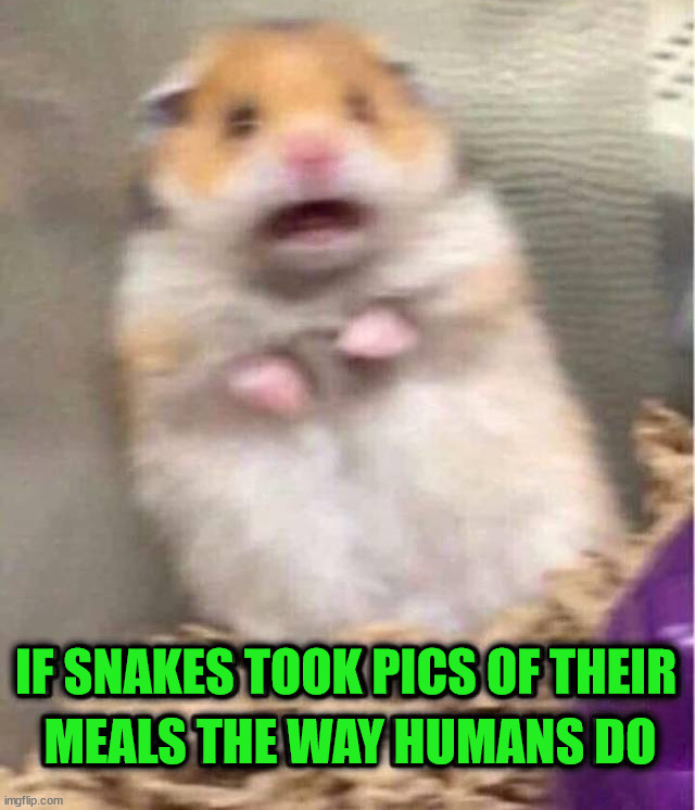 That final scream | MEALS THE WAY HUMANS DO; IF SNAKES TOOK PICS OF THEIR | image tagged in dark humor | made w/ Imgflip meme maker