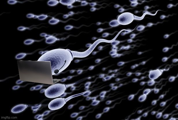 sperm swimming | image tagged in sperm swimming | made w/ Imgflip meme maker